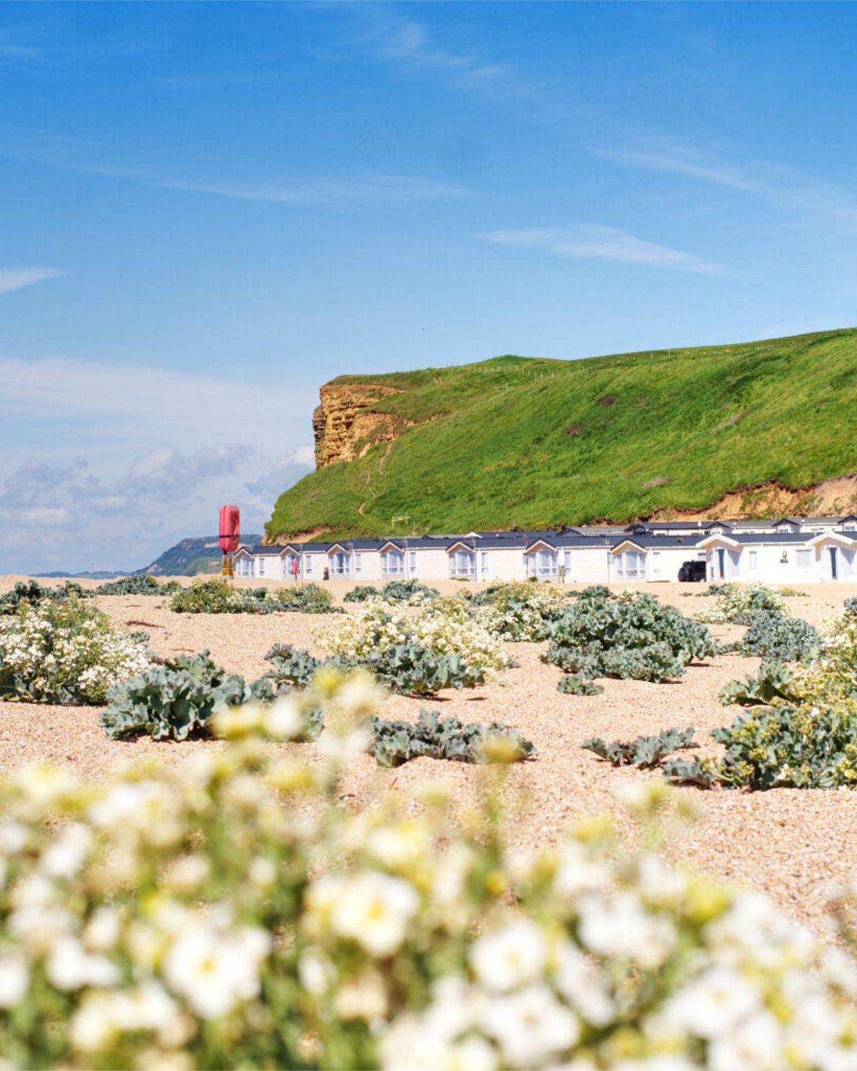 Pet friendly Dorset holiday park A pet friendly camping at Freshwater Beach Holiday Park