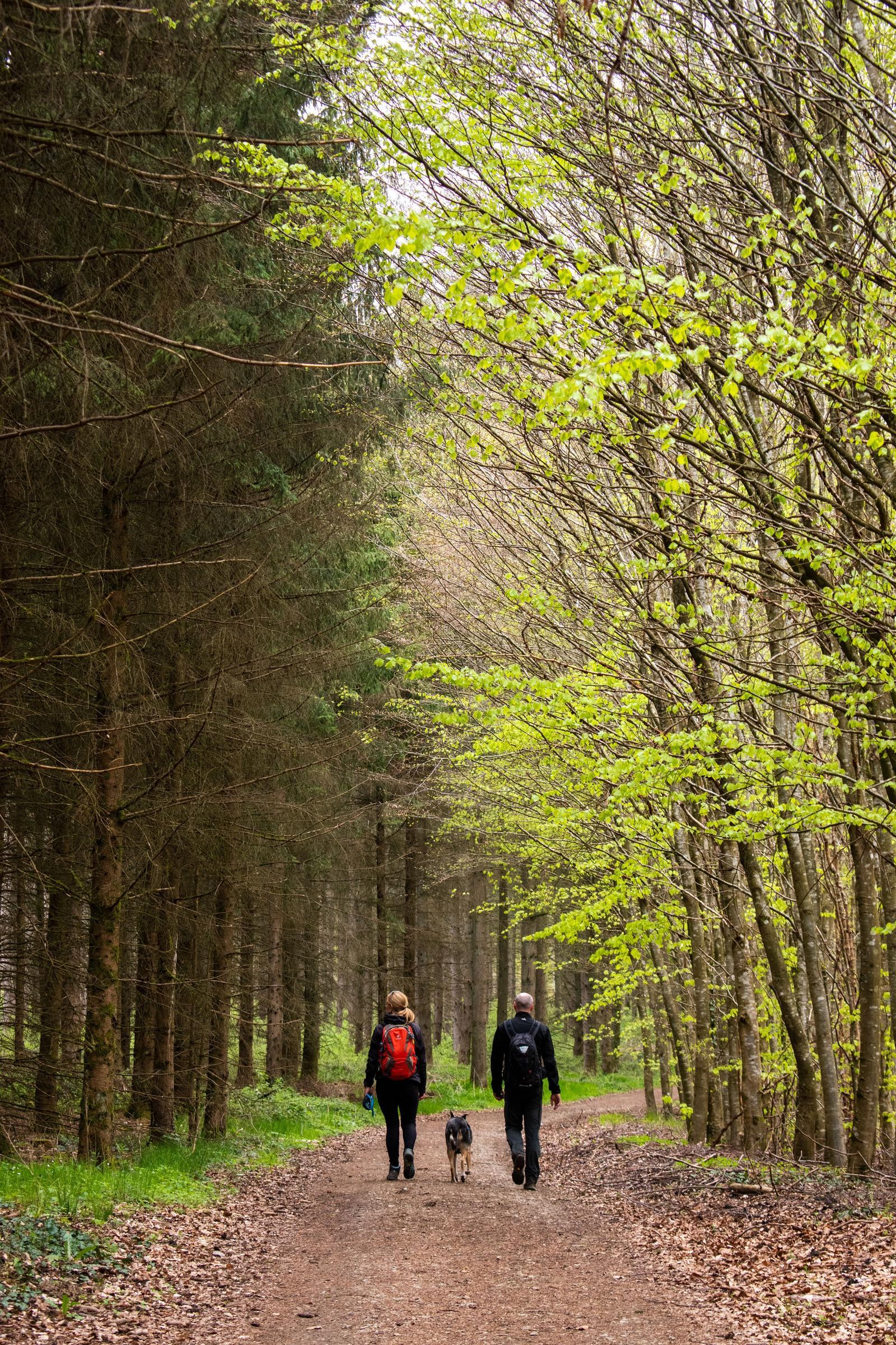 Wandelen