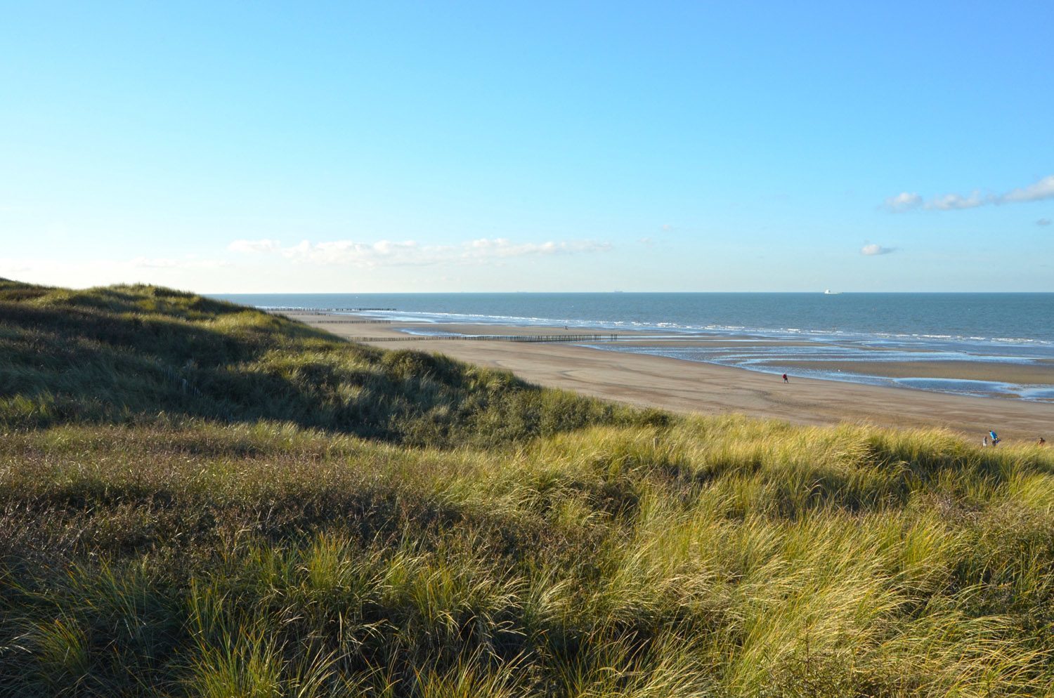 Plage Oye-Plage
