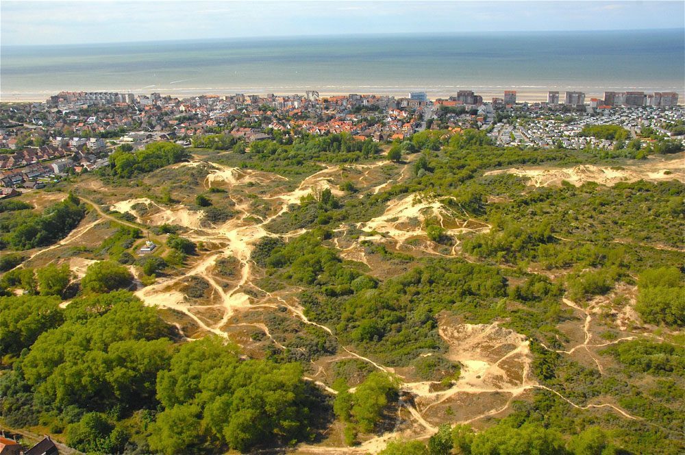 Profiter à Bray-Dunes
