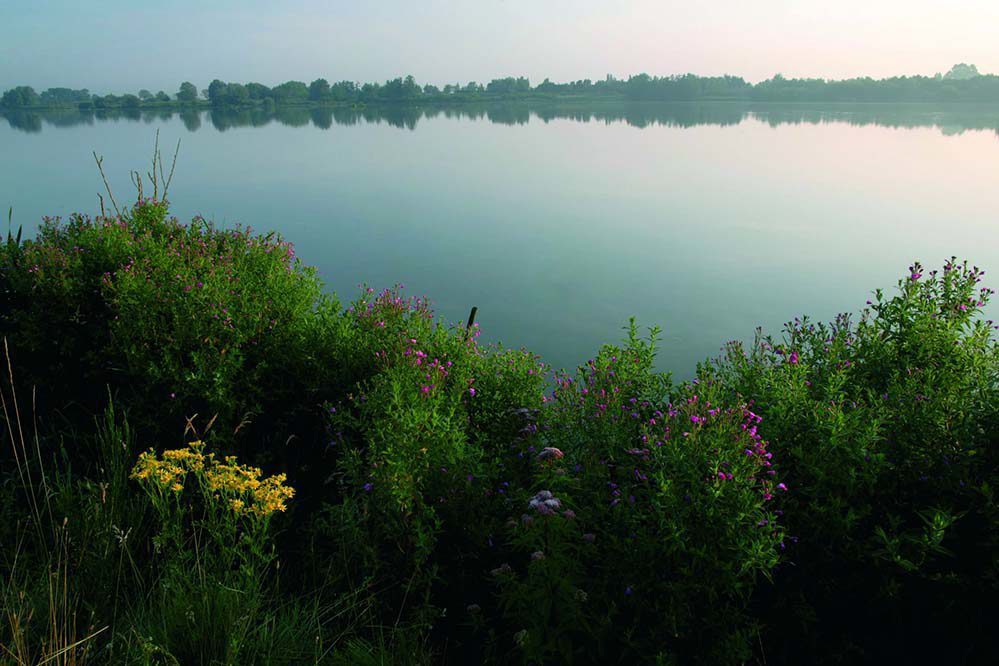 Réserve naturelle De Hoge Dijken