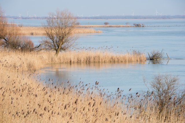 Nationaal Park Nieuw Land