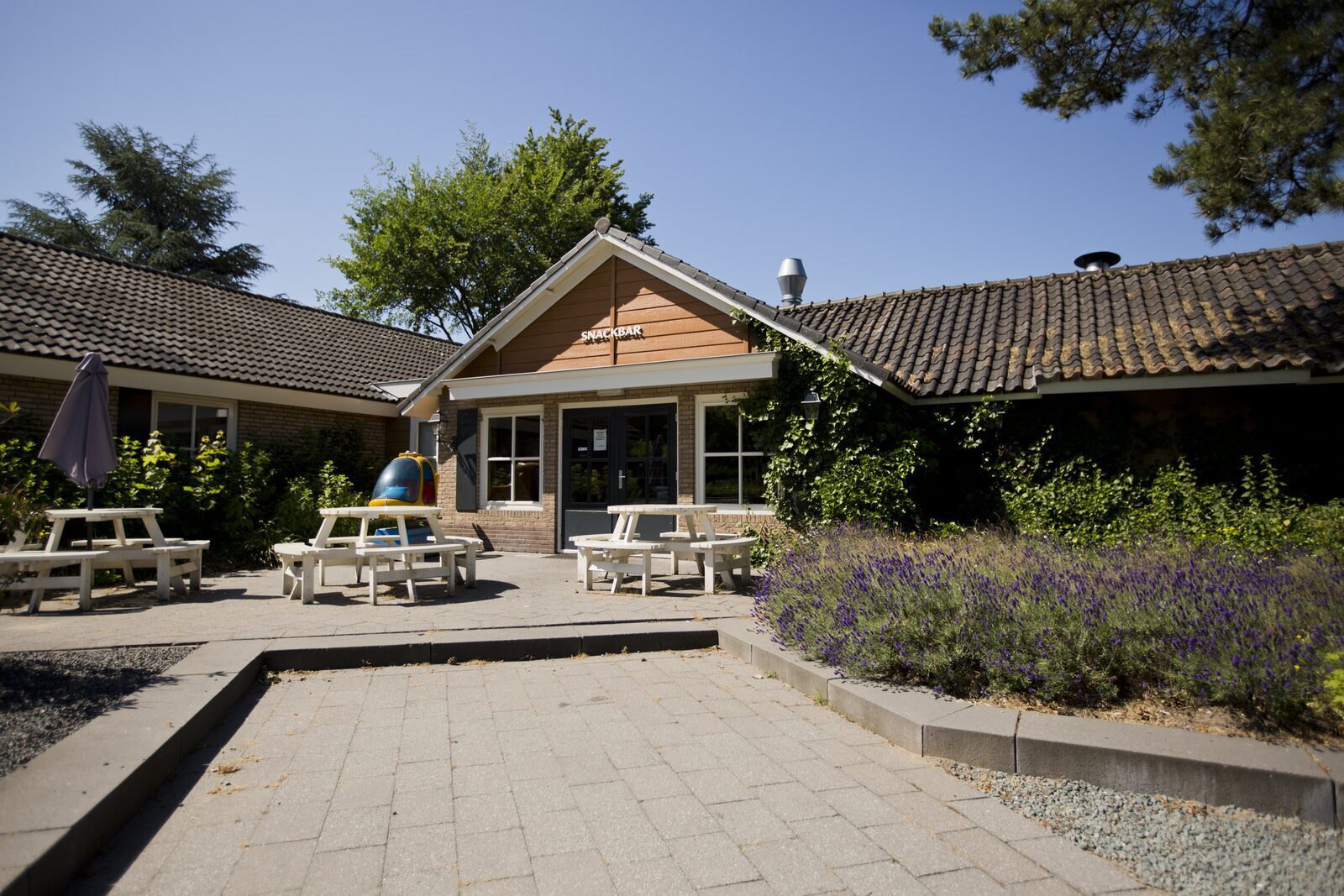 Snack bar