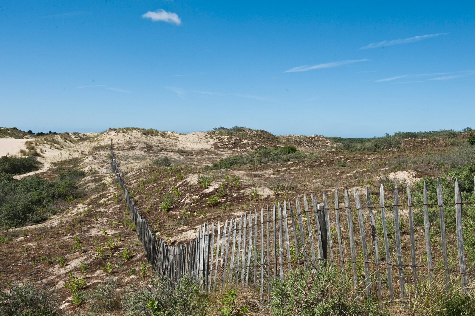 Bray-Dunes Etoile des Dunes