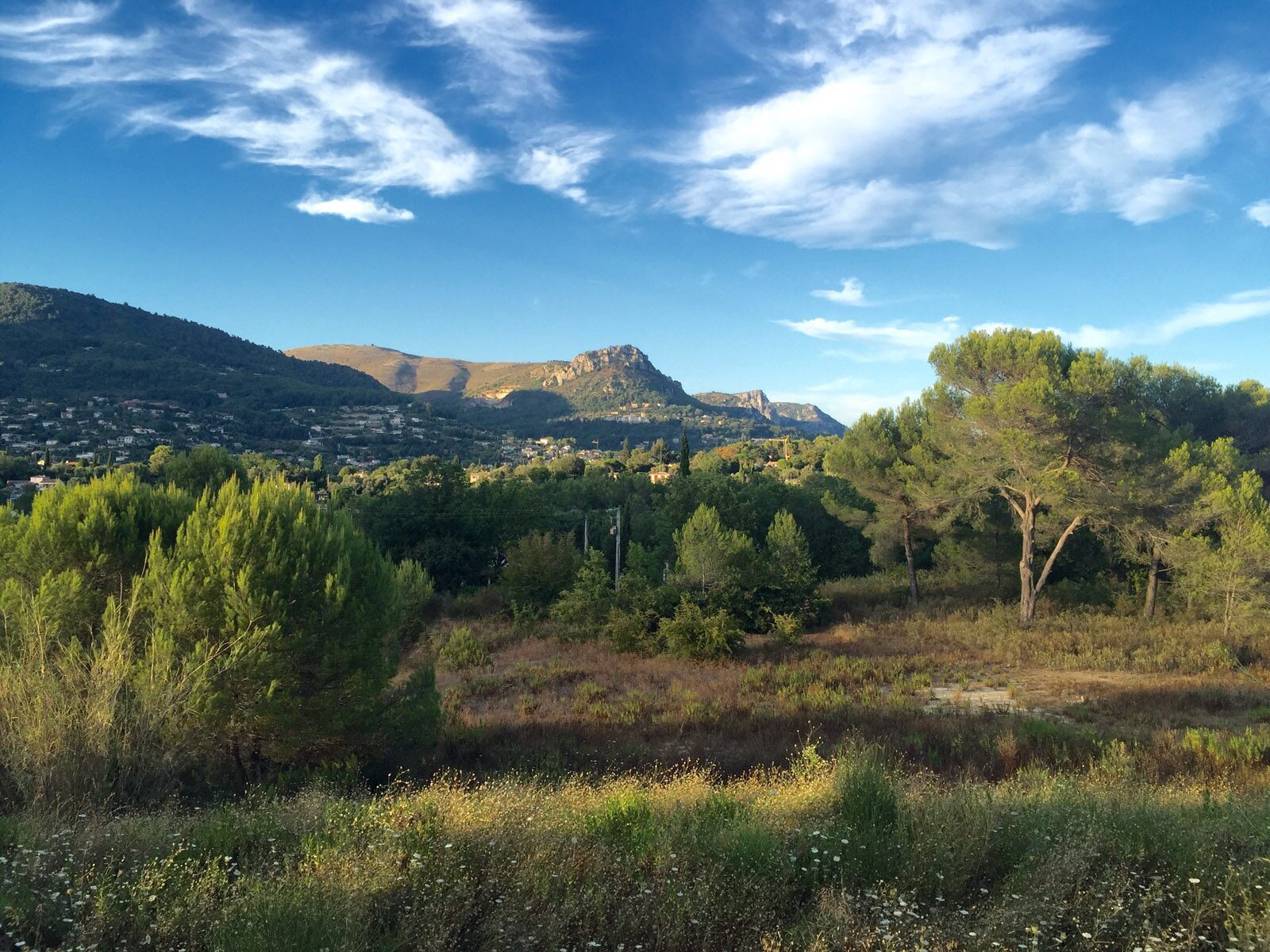 Profitez de la beauté de l'environnement