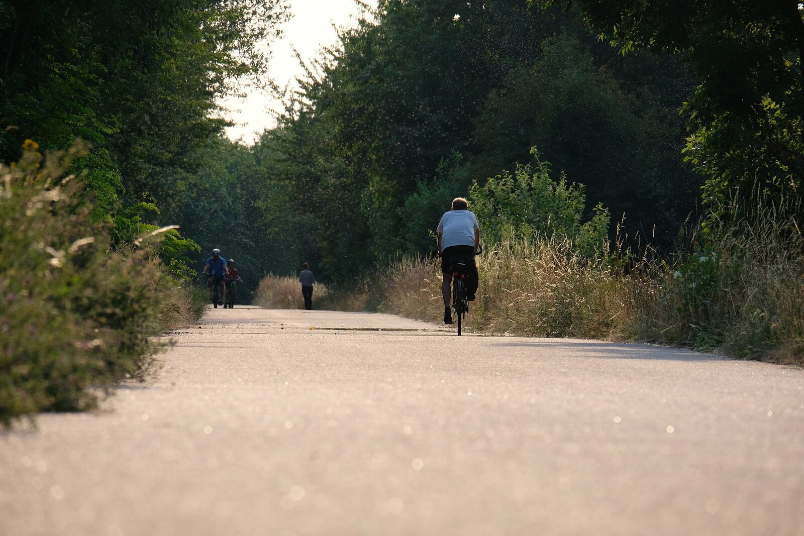 Mountain bike holiday