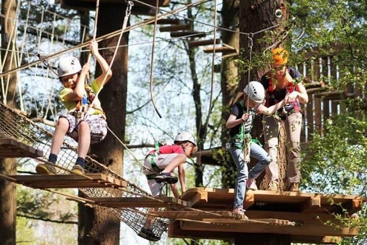 Climbing Forest Garderen