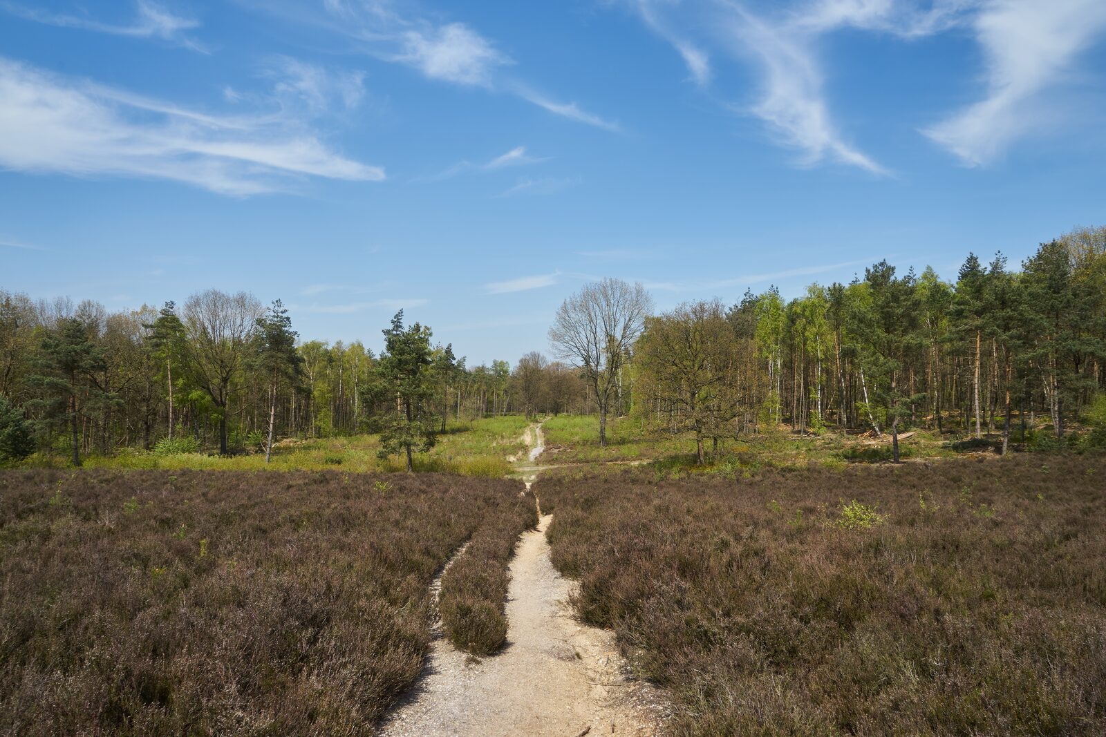 Bonte Vlucht 