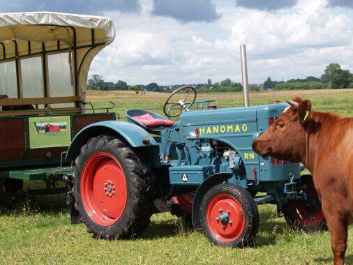 Vechtdalhoeve Cow Safari