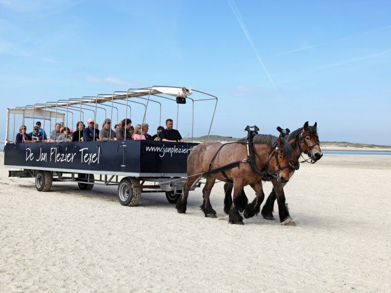 Covered wagon and rider tours