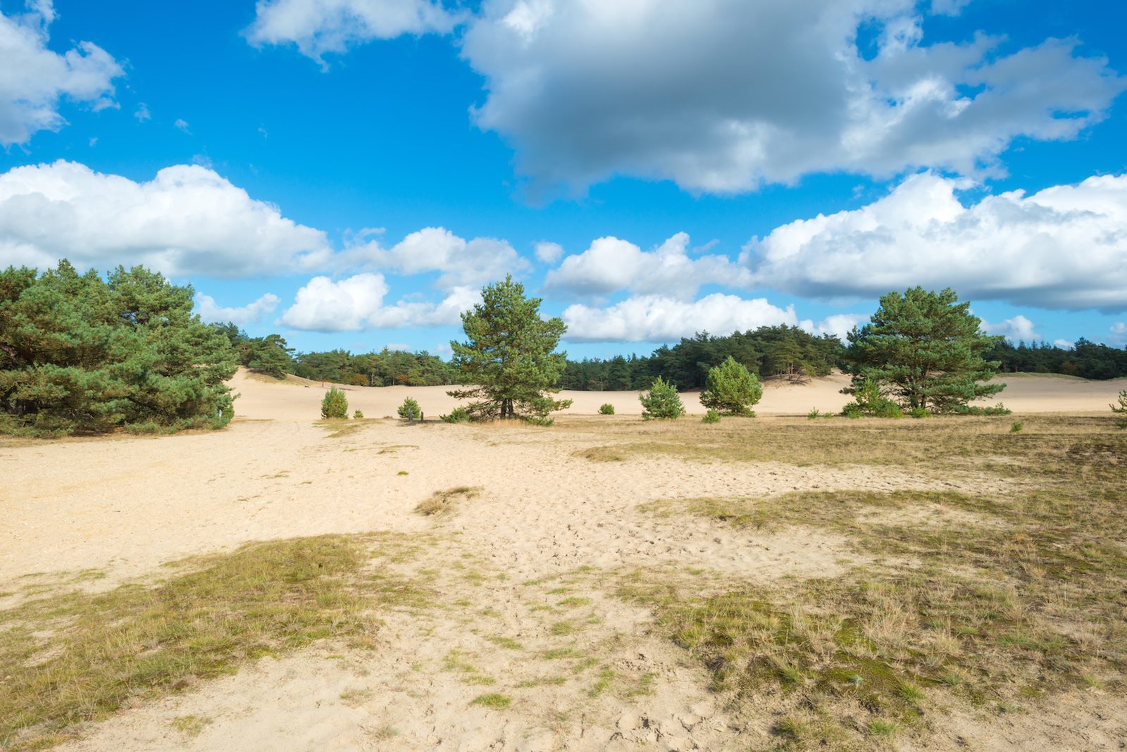 Willkommen im Resort Klarenbeek