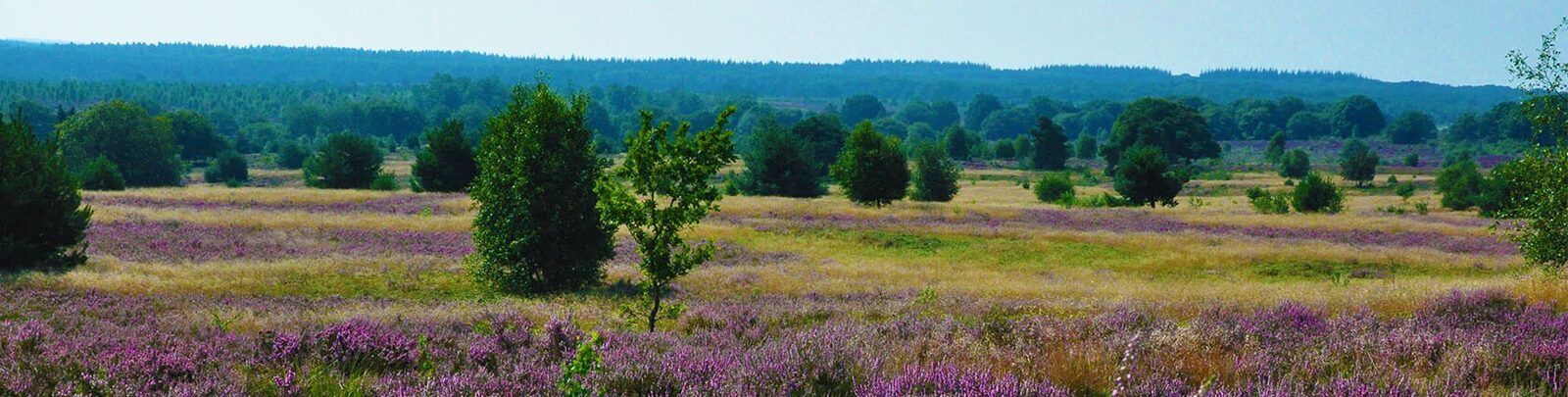 Holiday park Holten