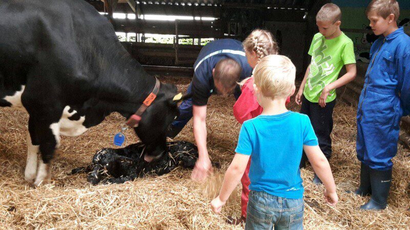 Boer’n Xpeditie Lemelerveld