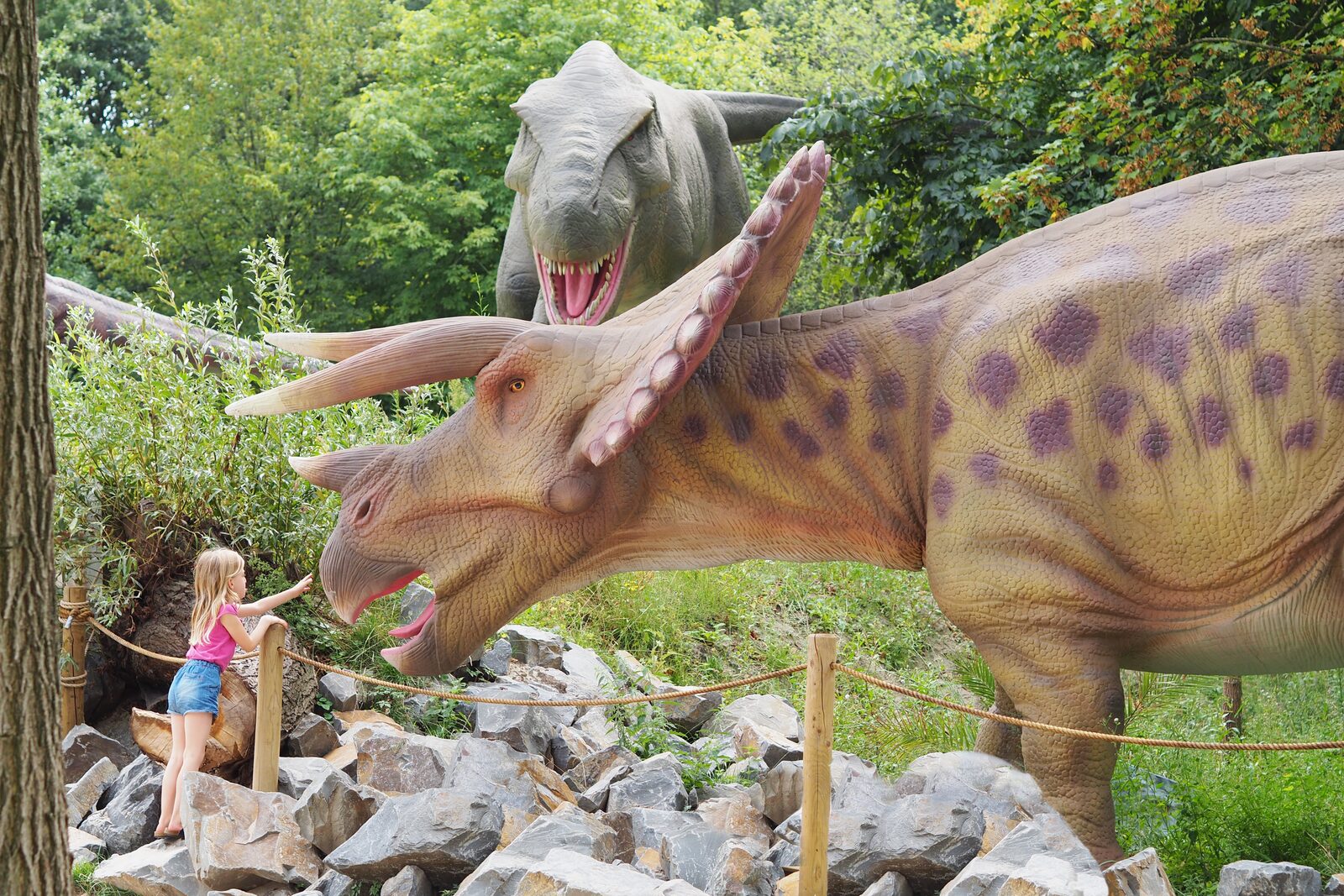 Dinoland Zwolle