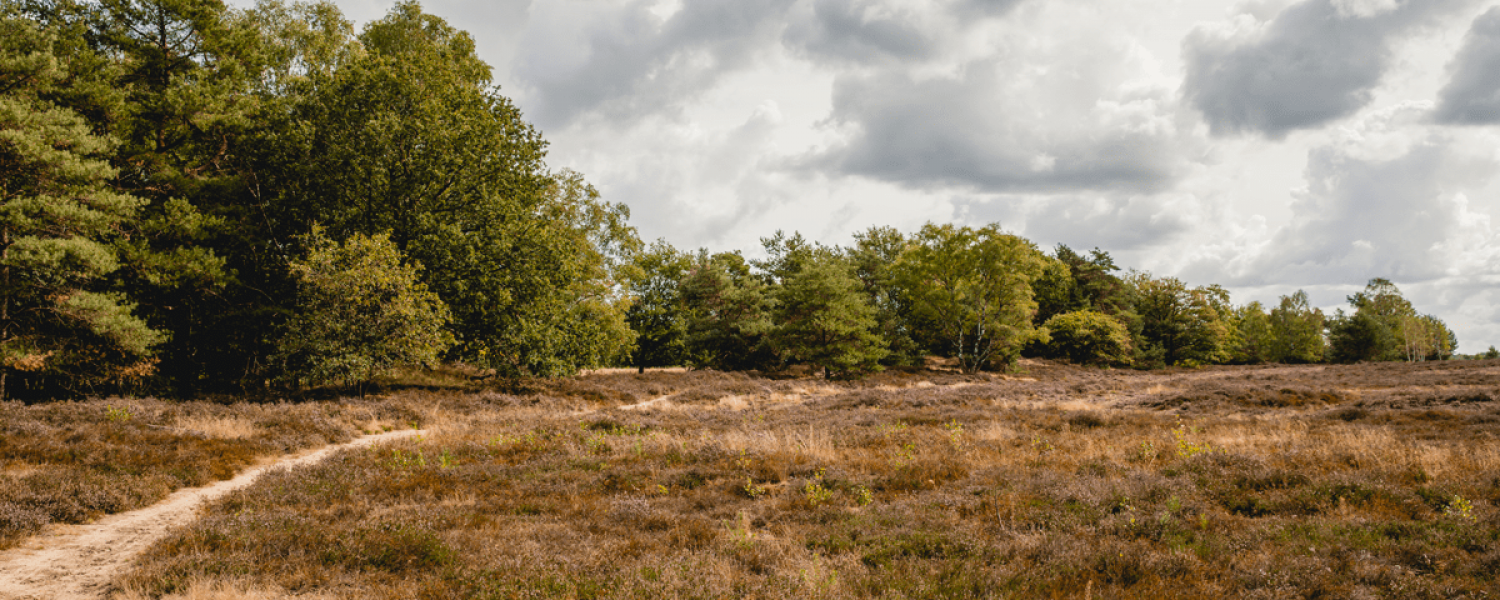 Meivakantie Buitenplaats Holten