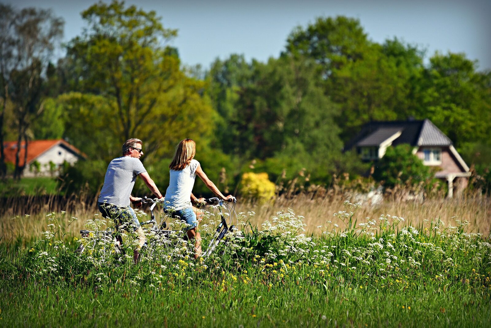 May holiday Veluwe