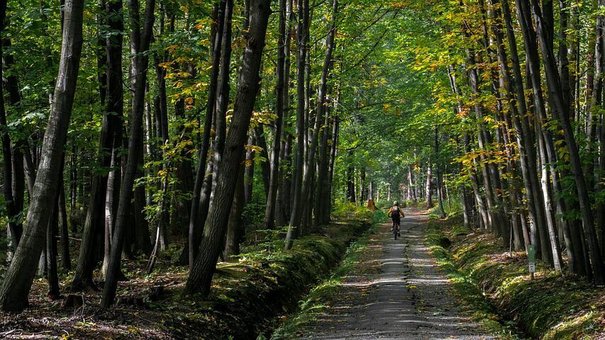 Blue route Holten (25 kilometers)