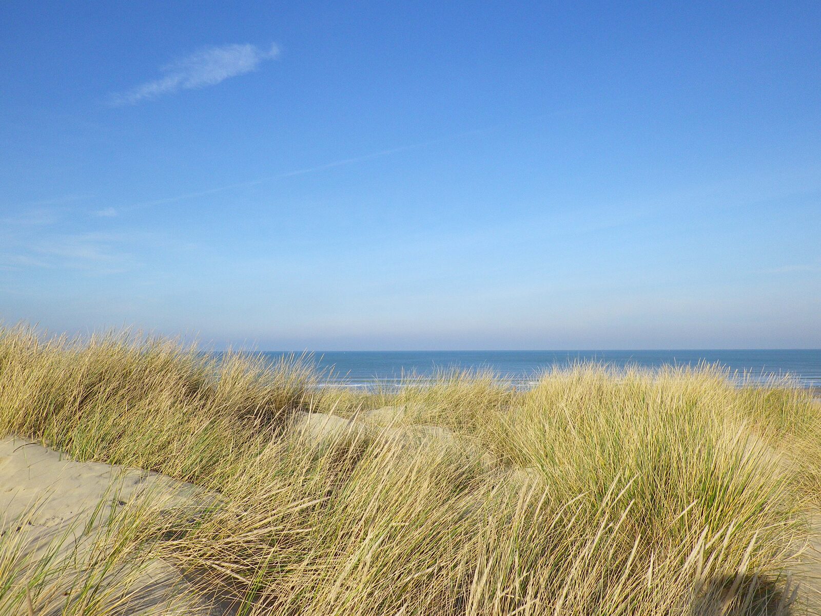 Bray-Dunes