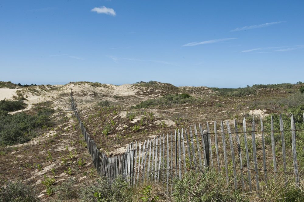 Bray-Dunes Etoile de Mer