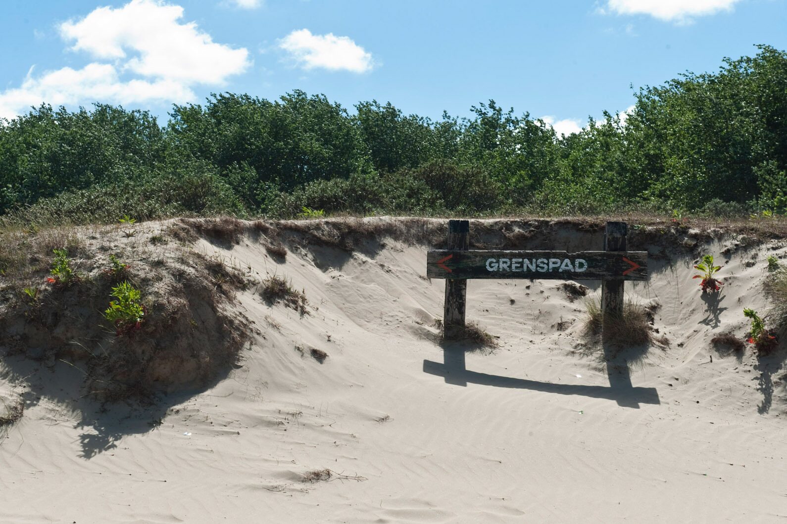 Dunes du Marchand Bray Dunes