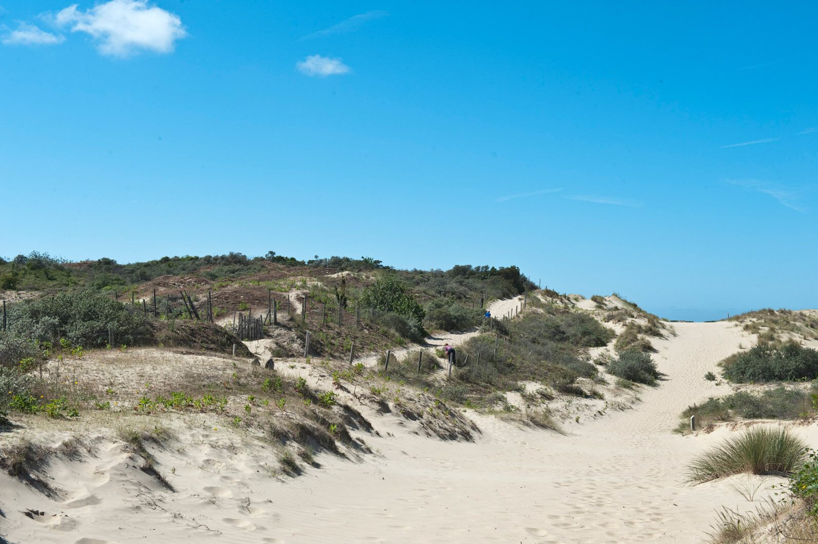 Dunes of Bray-Dunes