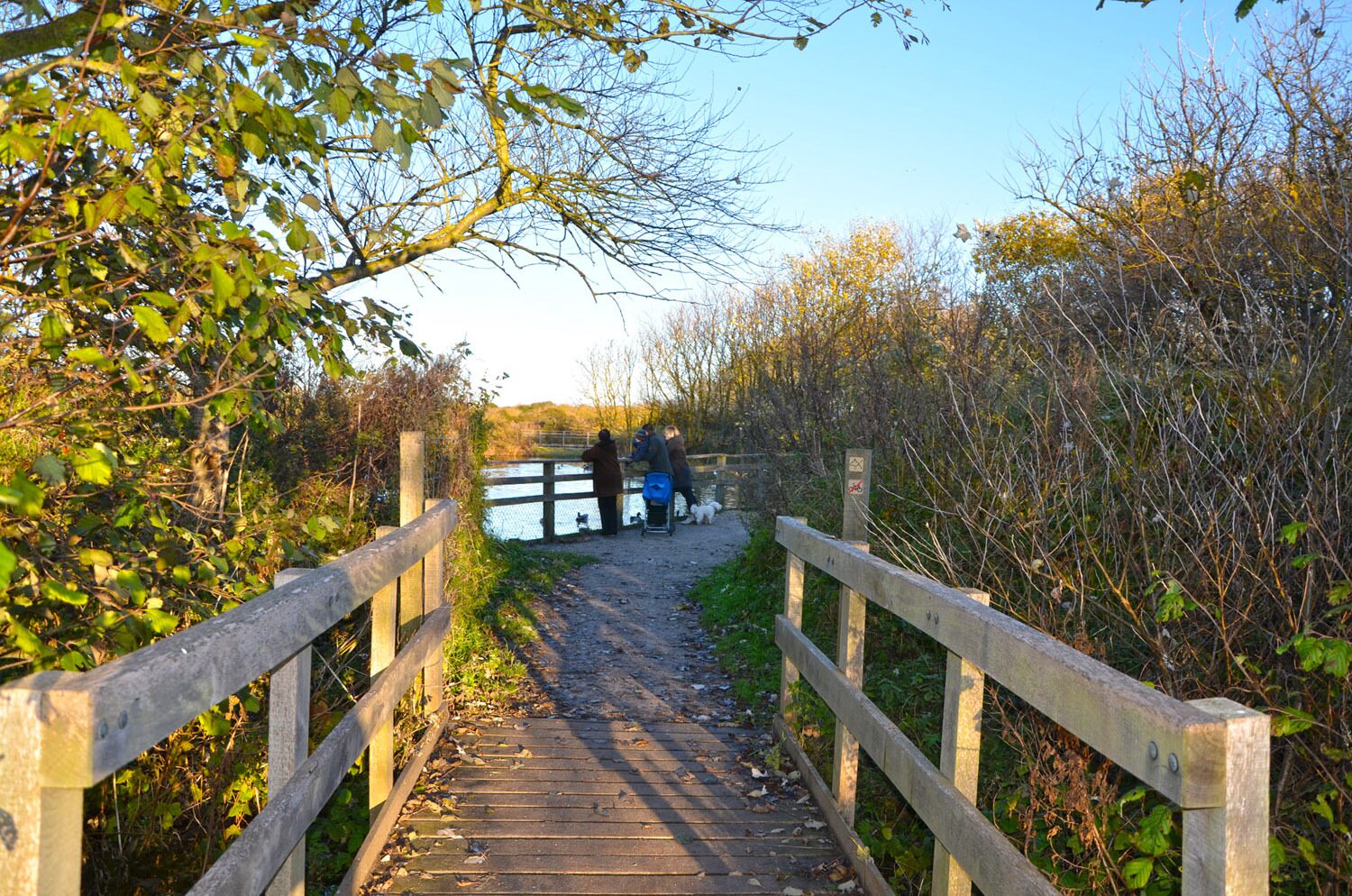 Nature reserve Platier d’Oye