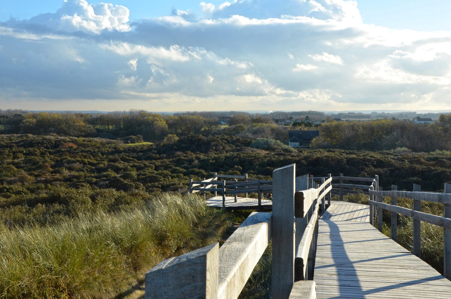 Nature reserve Platier d’Oye