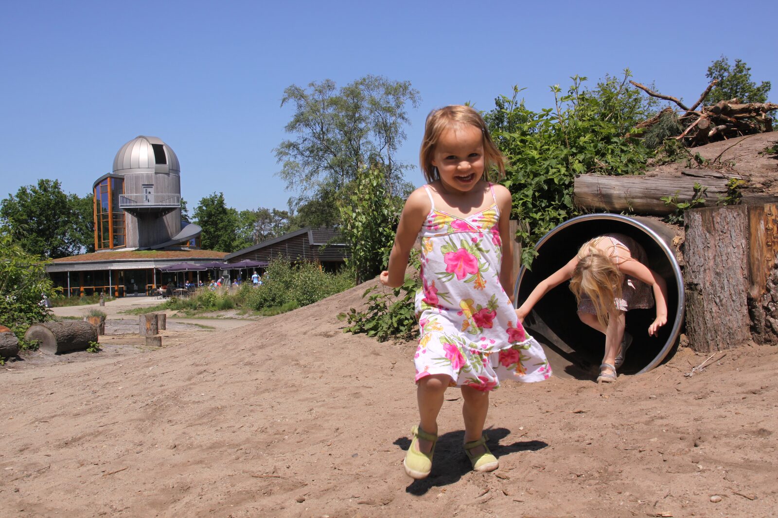 De Sallandse Heuvelrug play forest