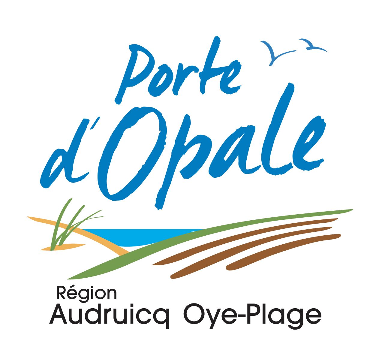 Opaalkust Audruicq-regio Oye Plage