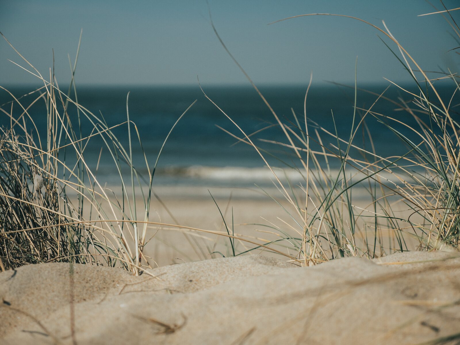 Beach of Ouddorp