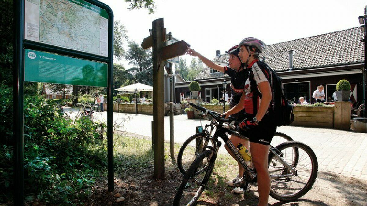 Mountain biking