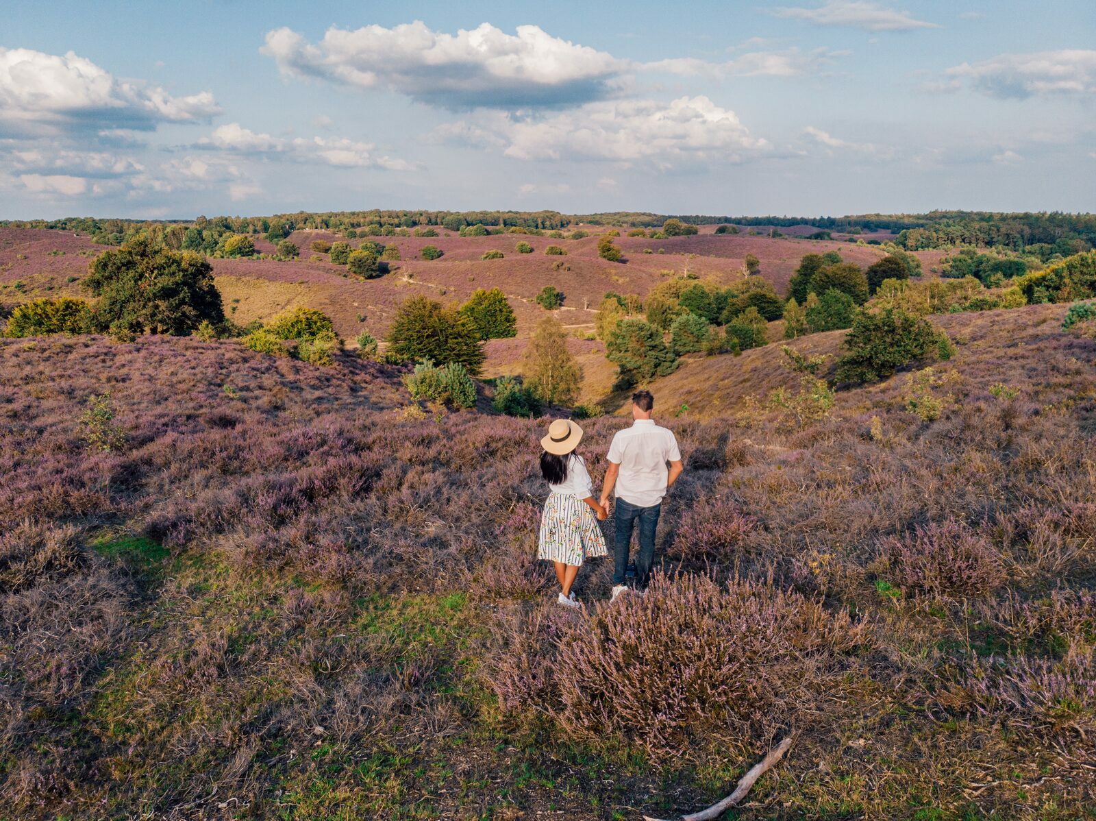 Last minute Veluwe