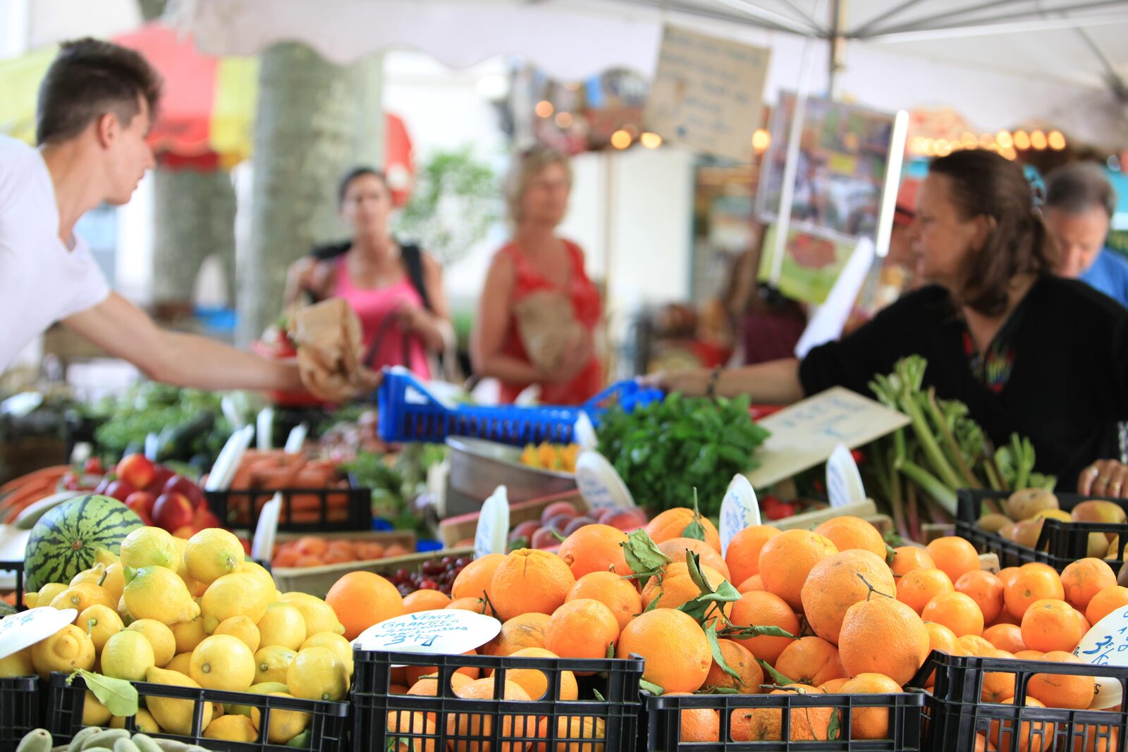 Vence markets