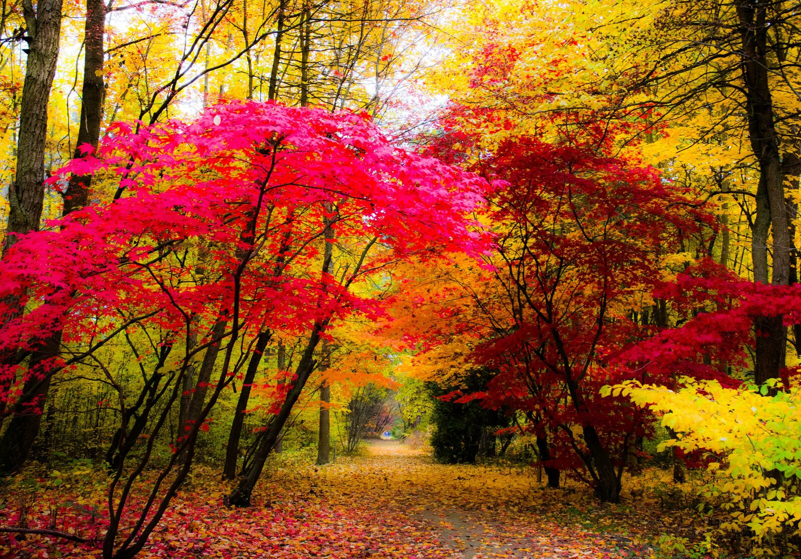 Herbsturlaub Ferienpark Hambachtal