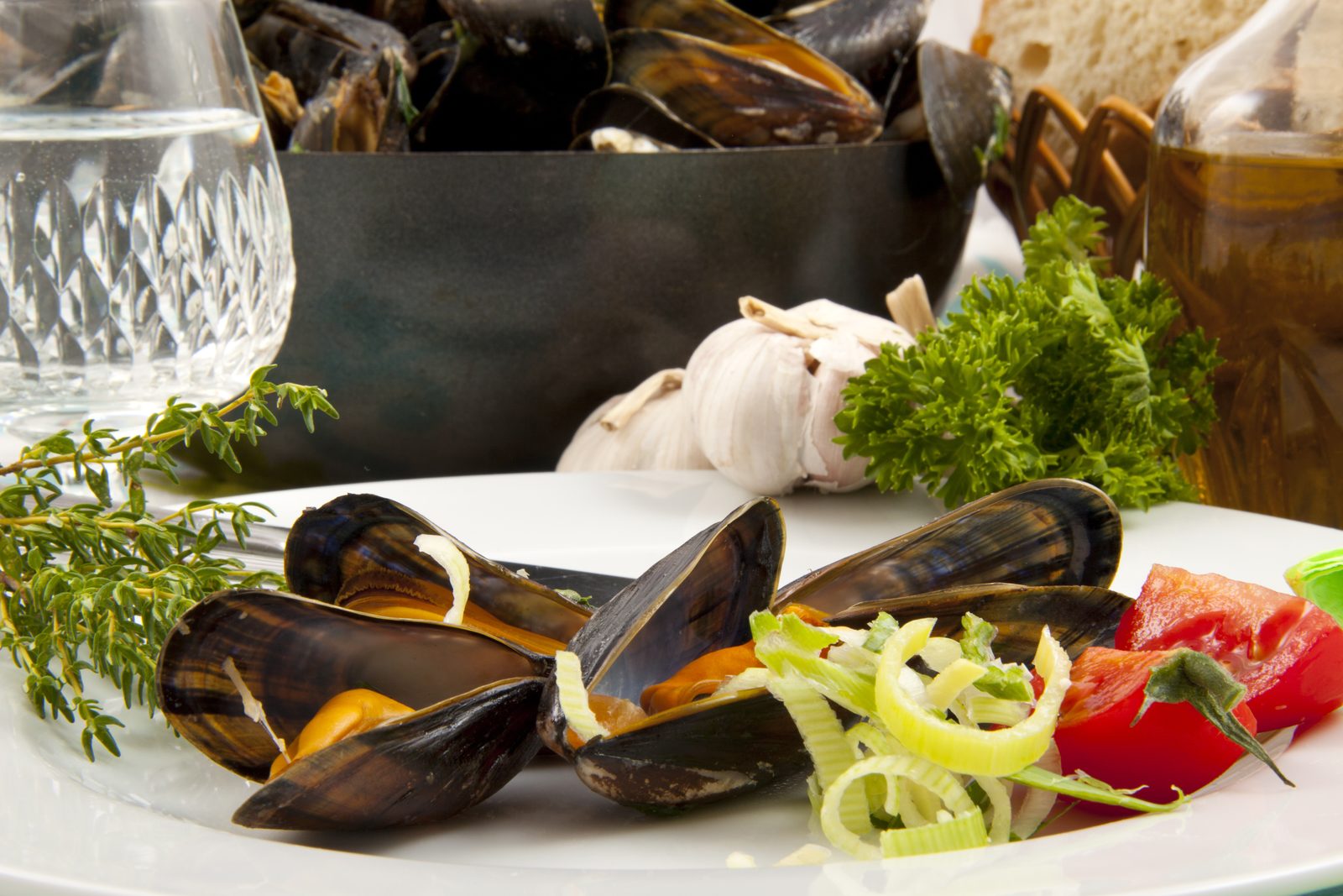 Zeeuwse mussel