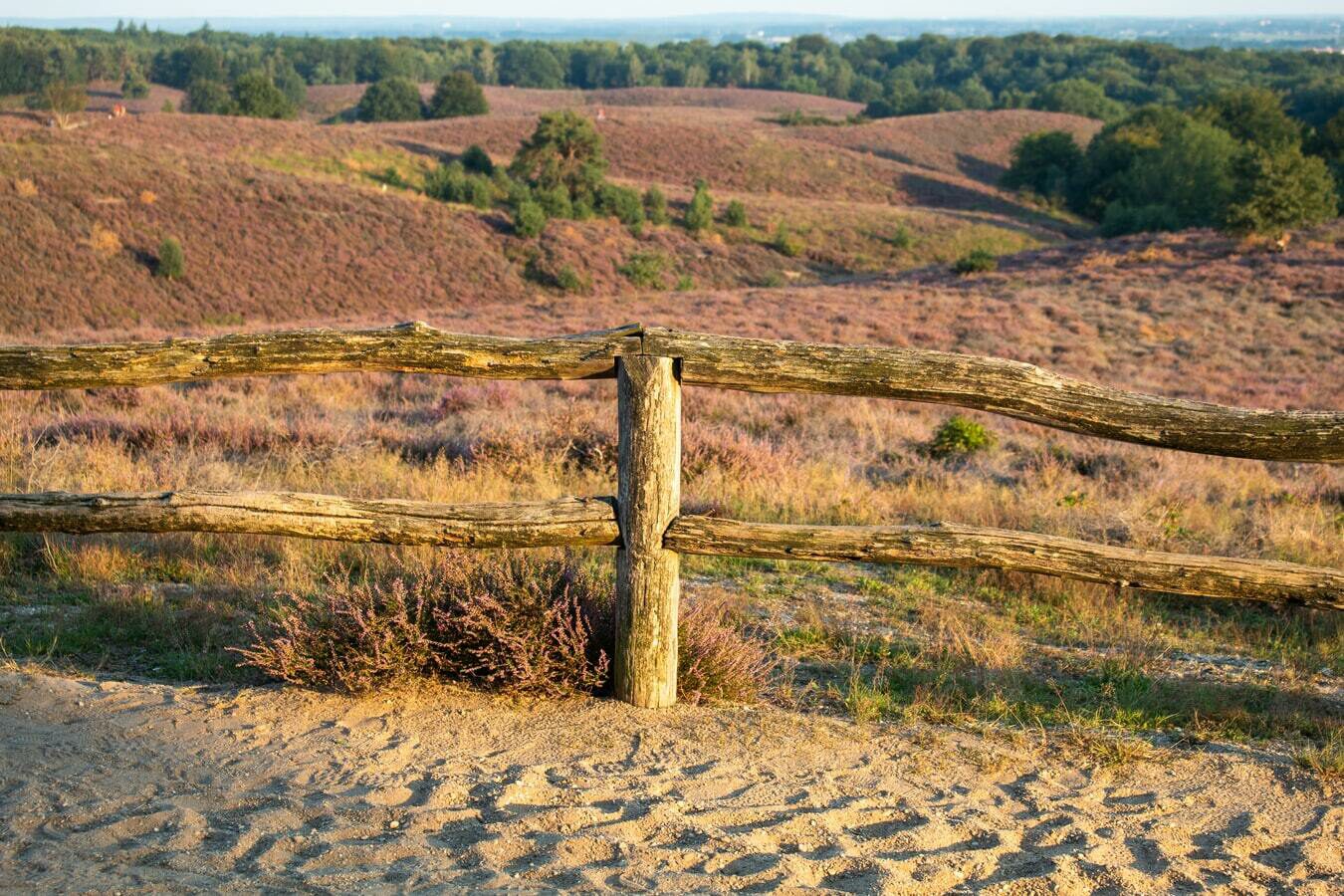 Enjoying yourself in the Veluwe