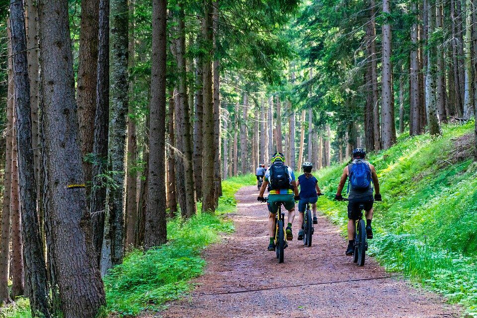 Mountain biking