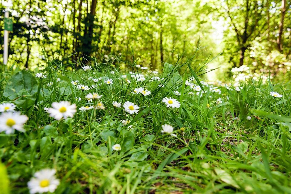 Urlaub im Mai
Natur