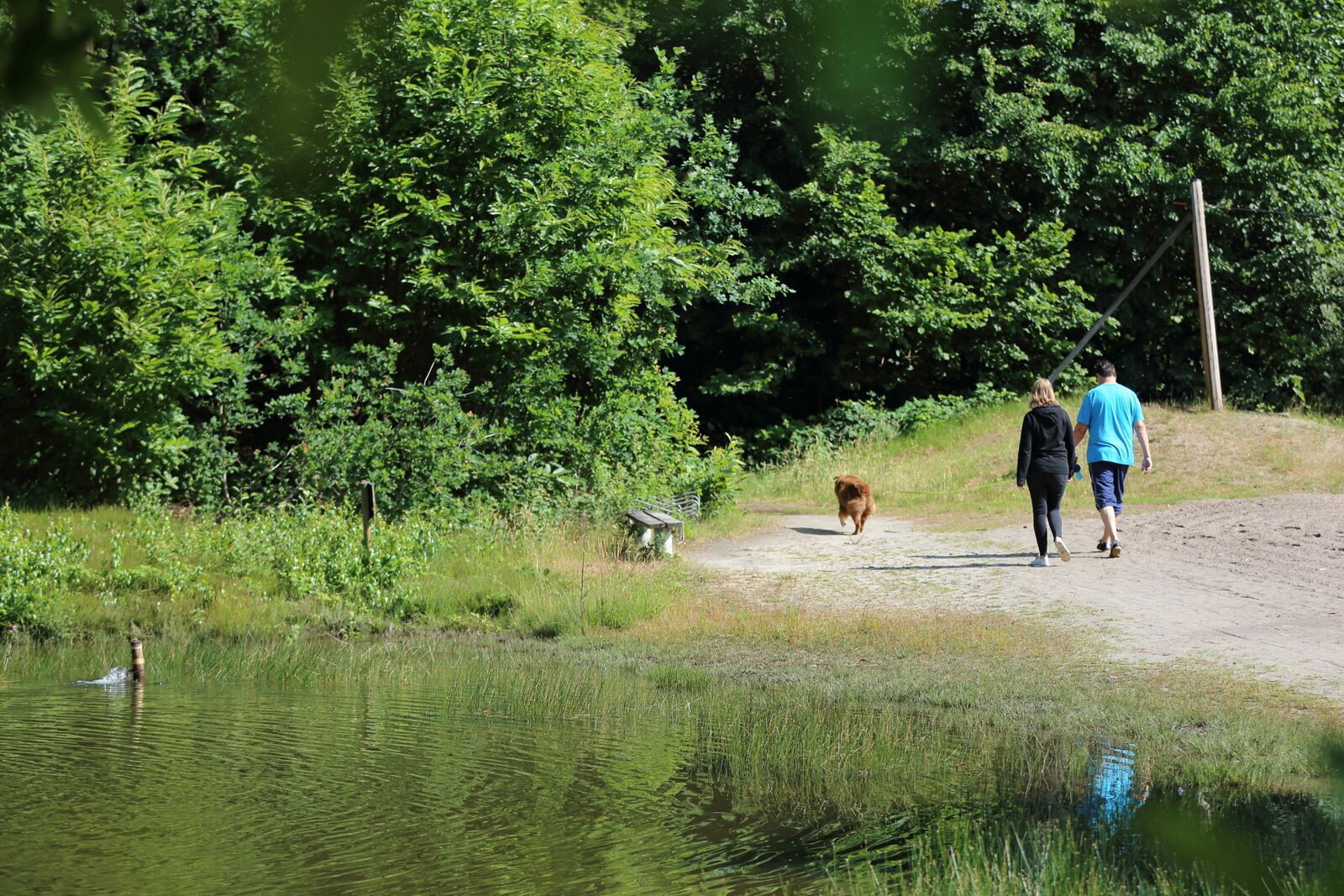 Vakantie met hond België