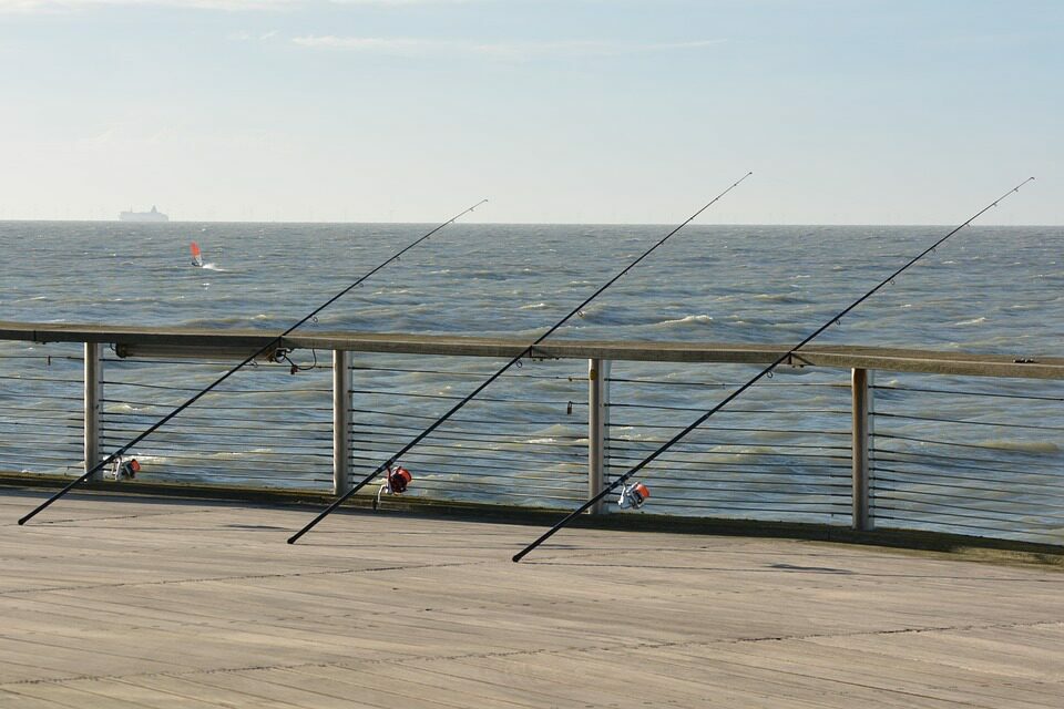 Fishing vacation the Netherlands