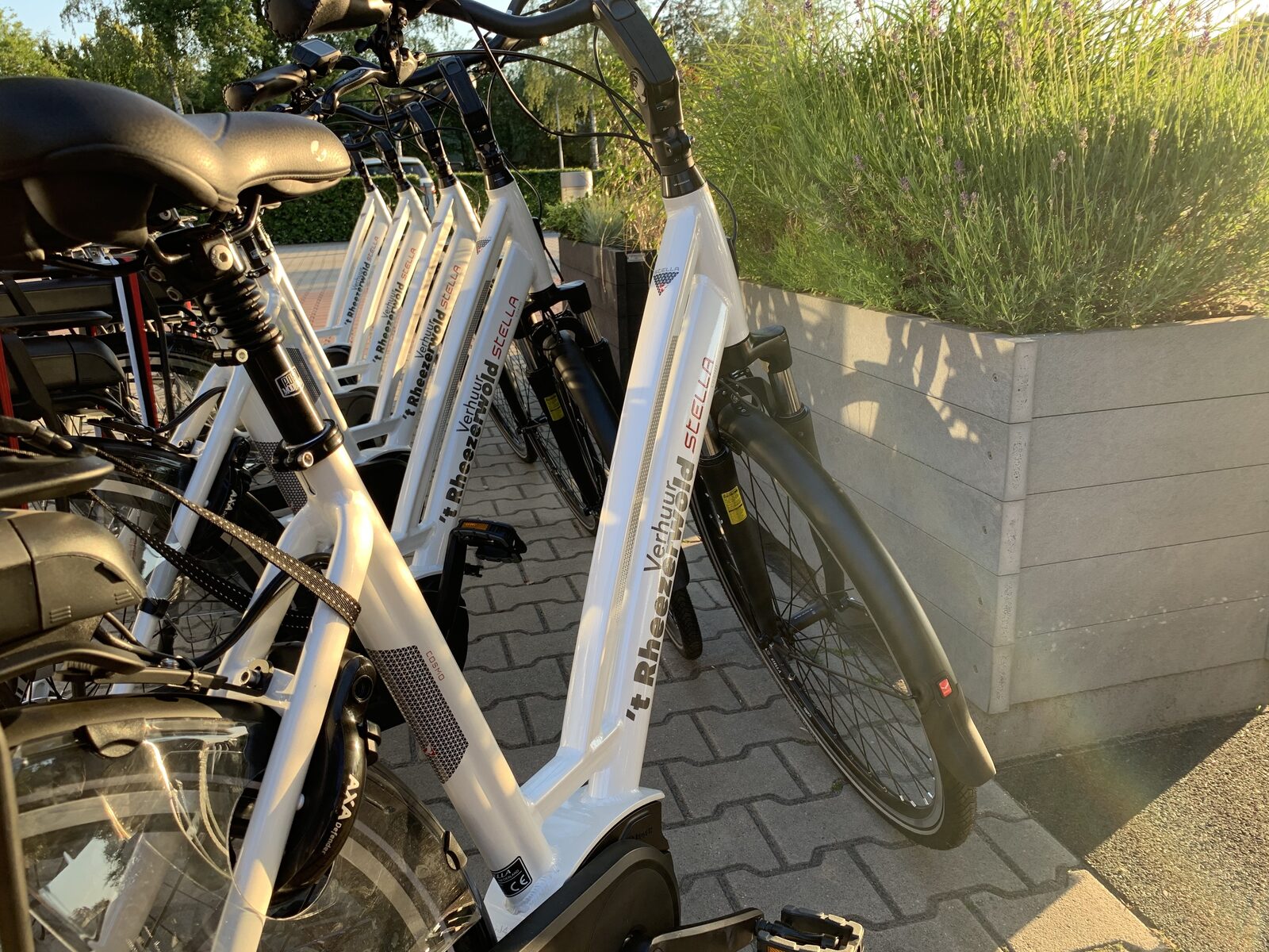 E-bike