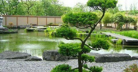 Japanse Tuin