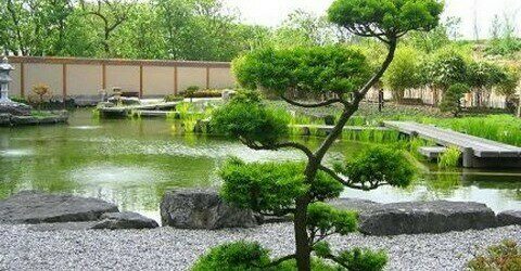 Japanse tuin 