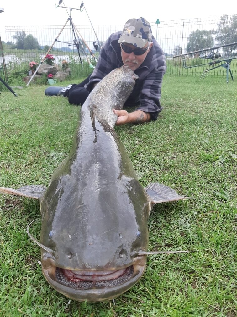 Fishing at De Scherpenhof