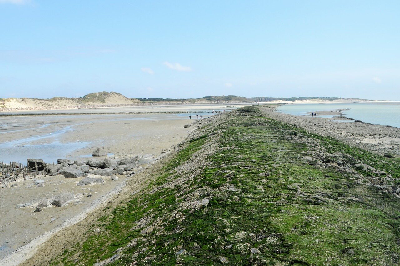 Visit the Authie Bay in Berck sur Mer