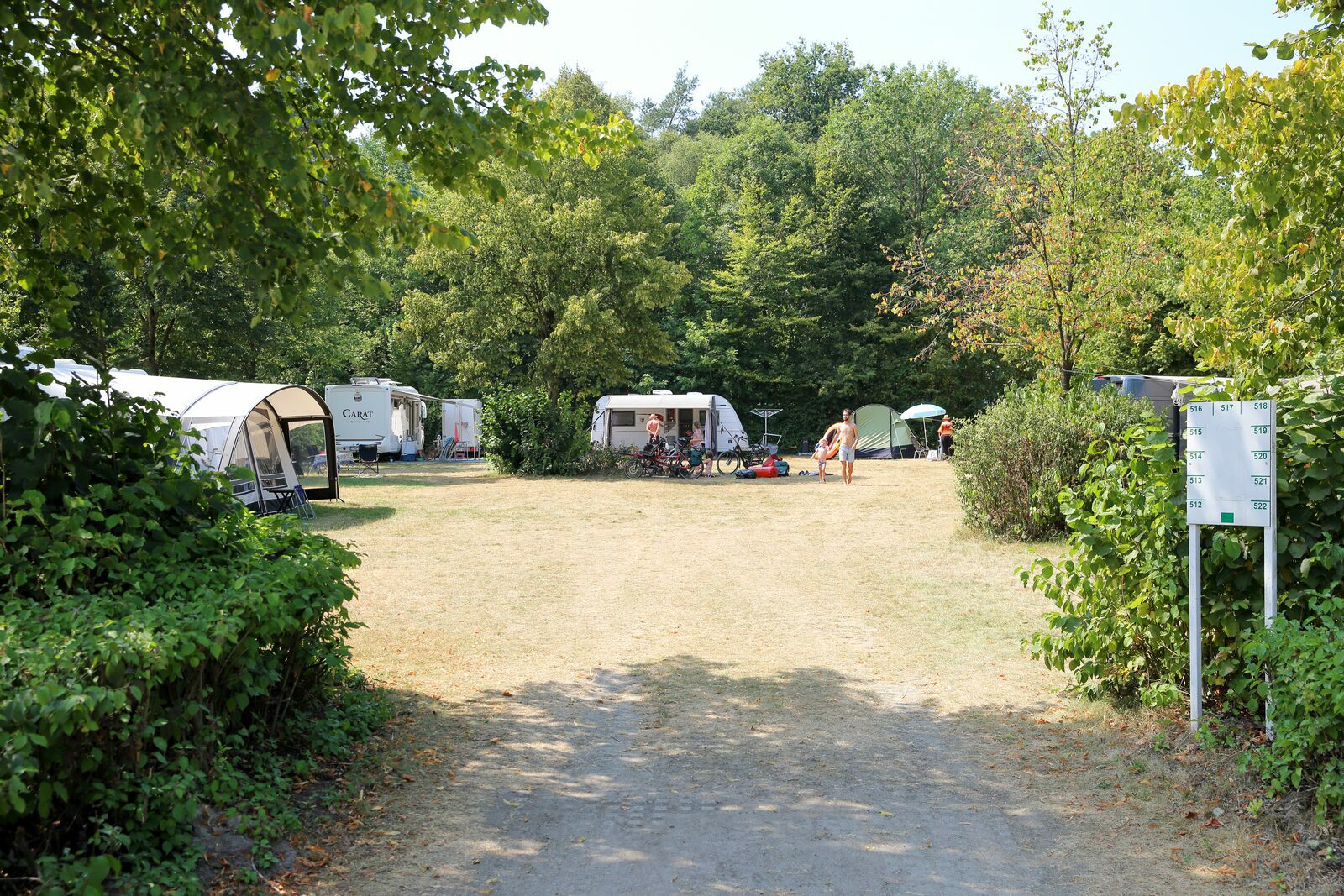 Camping Mol