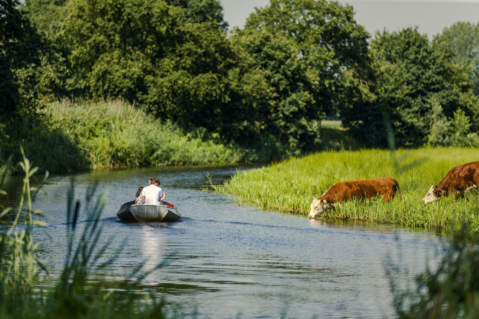 Een perfecte vakantie bij vakantiepark Mölke