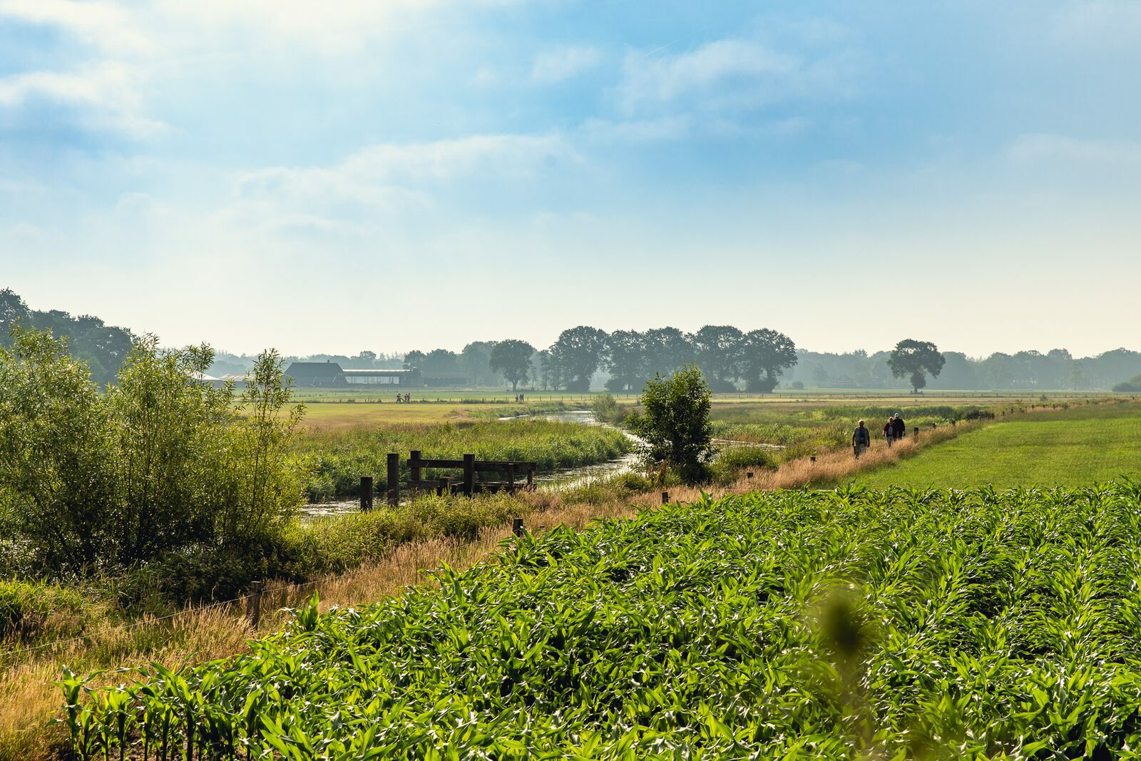 wandelgebieden met hond