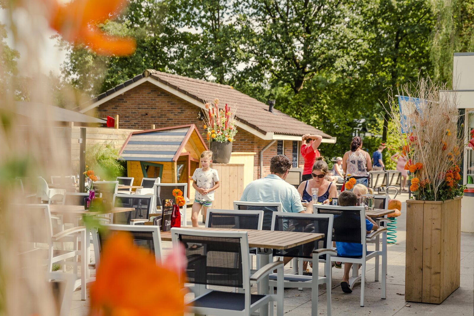 Terras aan de Regge