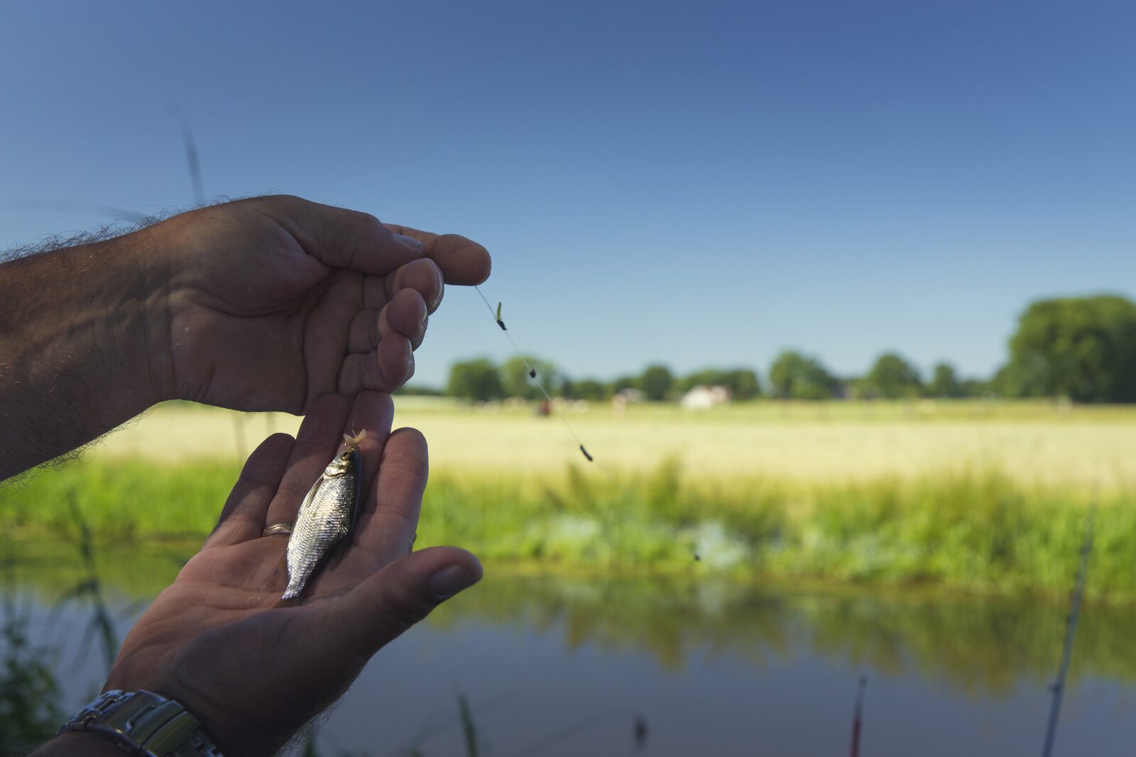 Tips voor forelvissen in Twente